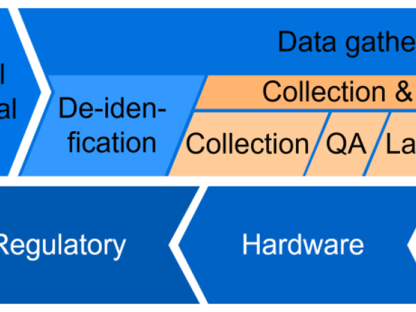 Process of Medical Dataset Construction for Machine Learning - Multifield Study and Guidelines