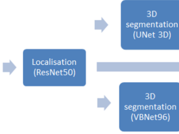 Abdominal Aortic Aneurysm Segmentation from Contrast-Enhanced Computed Tomography Angiography Using Deep Convolutional Networks
