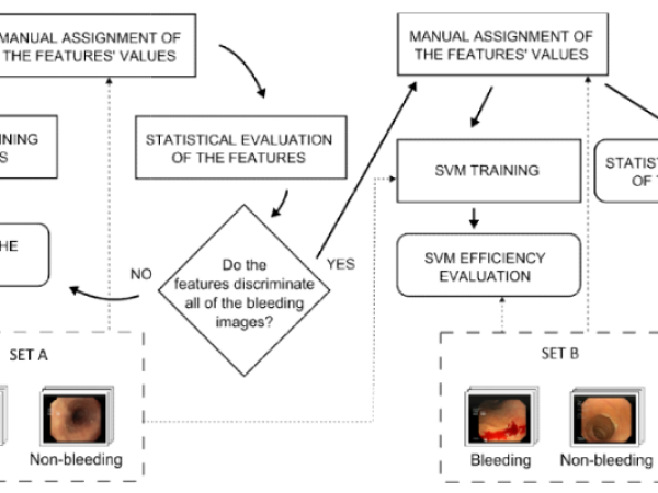 Visual Features for Endoscopic Bleeding Detection